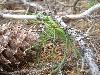 2003_0720_125443AA.jpg